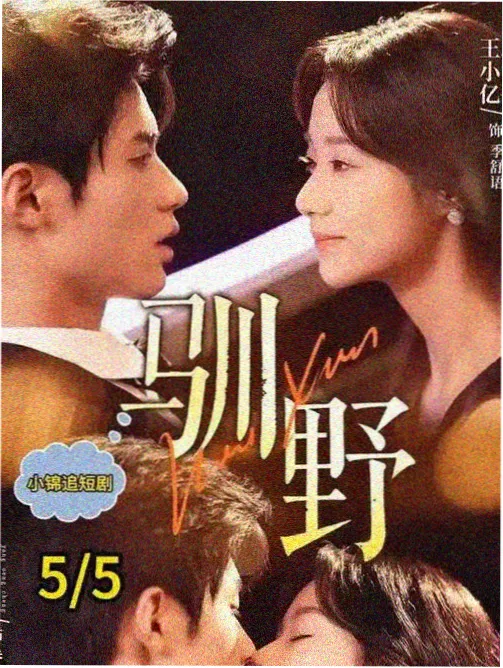 天下影院剧集索引卡渡口旅店群像主视觉